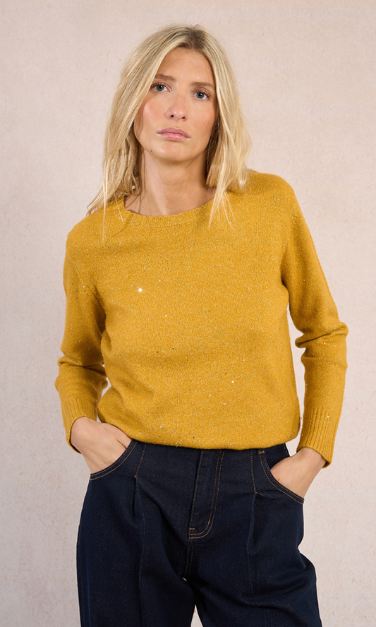 Sweater Sprinkled with Sequins