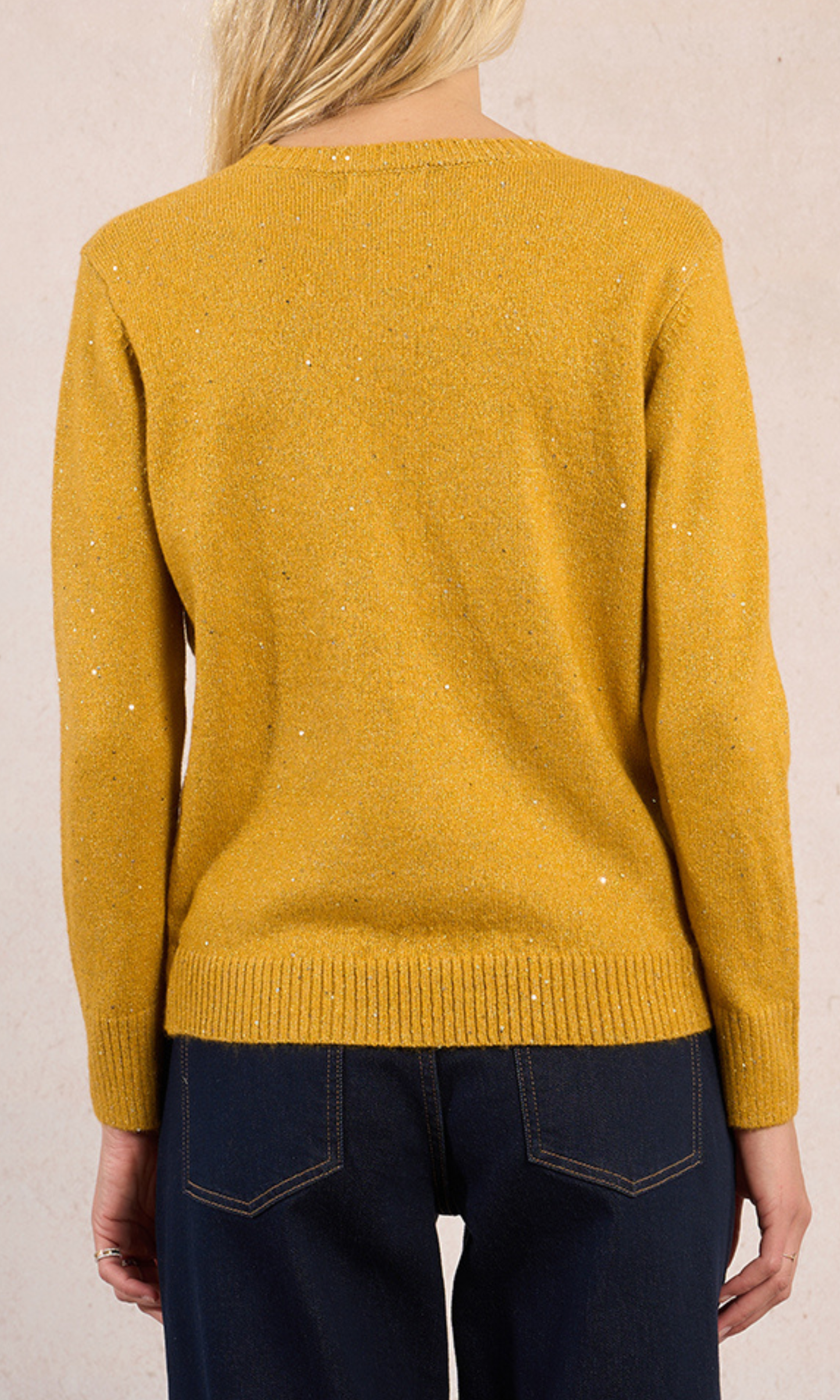 Sweater Sprinkled with Sequins