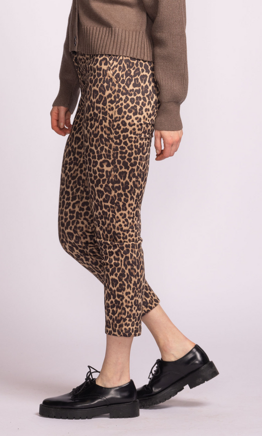 Kitty Pants