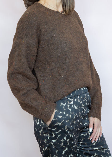 Sparkle Popover Crewneck Sweater
